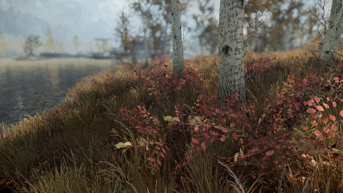 Elder Scrolls 5: Skyrim Special Edition — Осенний лес и переделанные желтые кусты