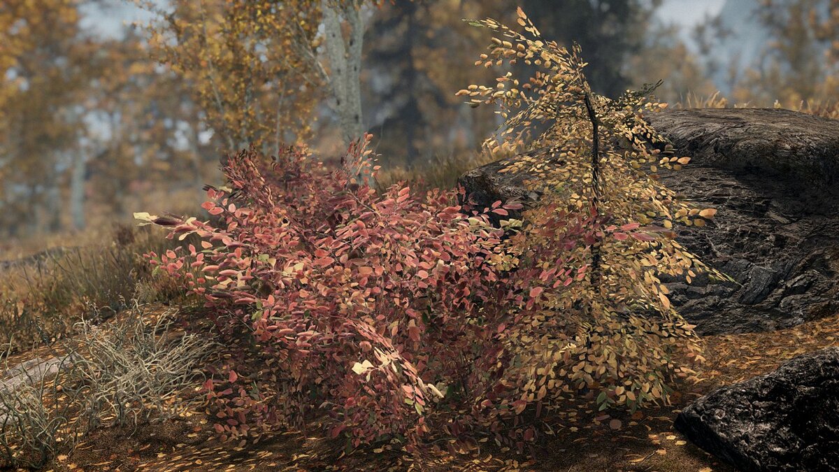 Elder Scrolls 5: Skyrim Special Edition — Autumn forest and repurposed yellow bushes