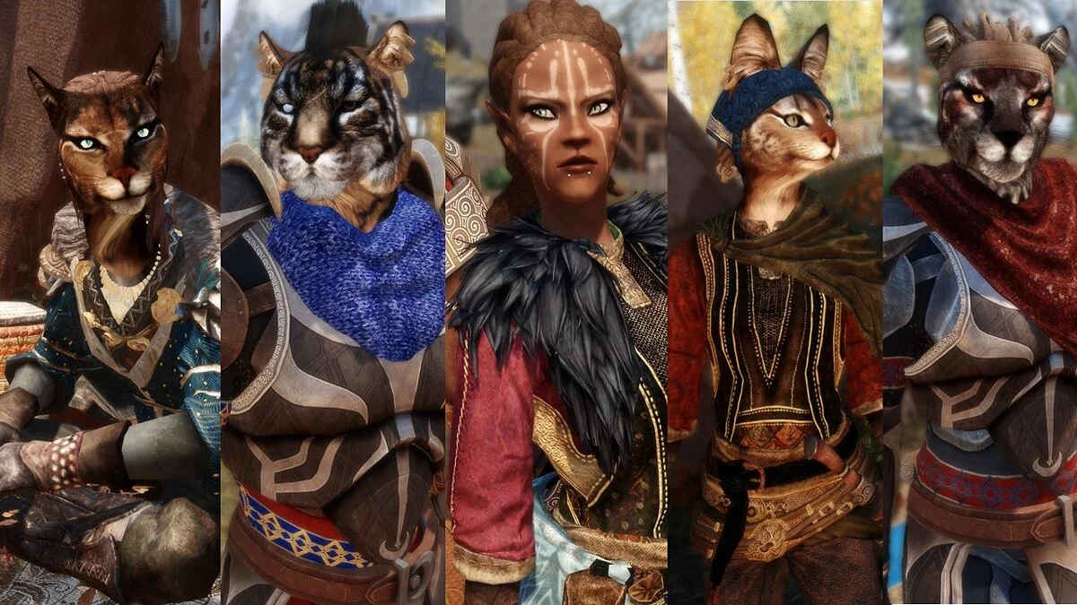 Elder Scrolls 5: Skyrim Special Edition — Khajiit Overhaul