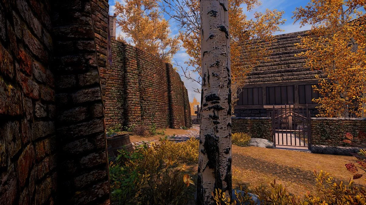 The Elder Scrolls 5: Skyrim Legendary Edition — Стіна Ріфтена в 4K