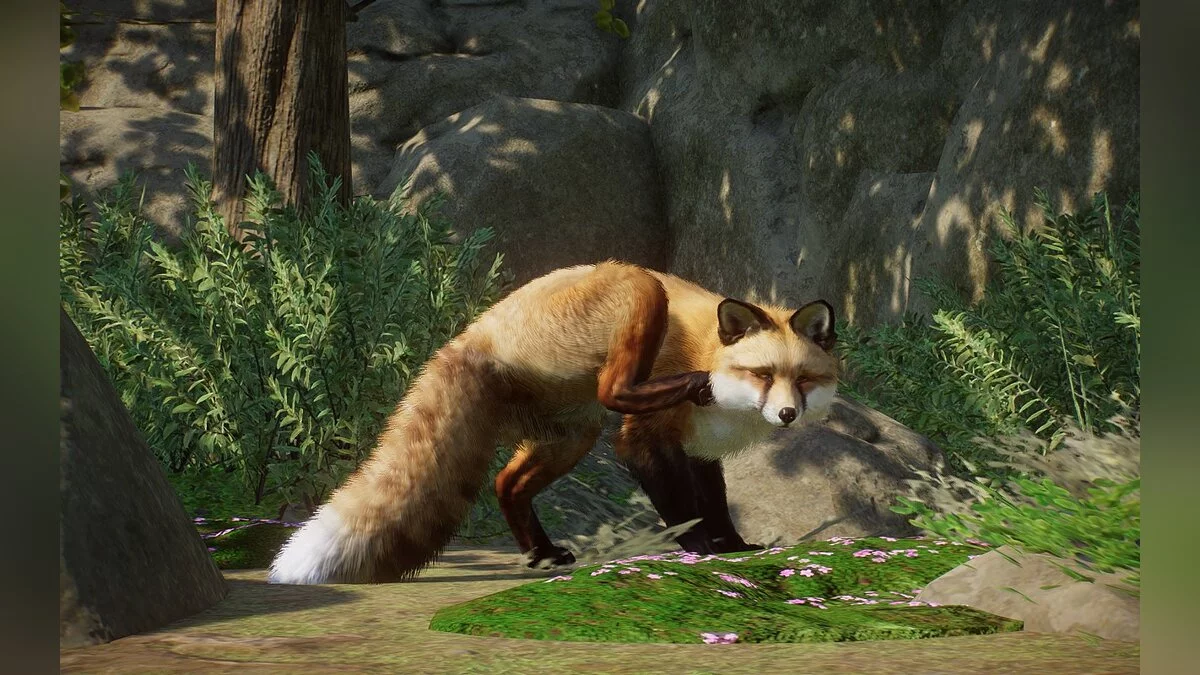 Planet Zoo — New species - red fox