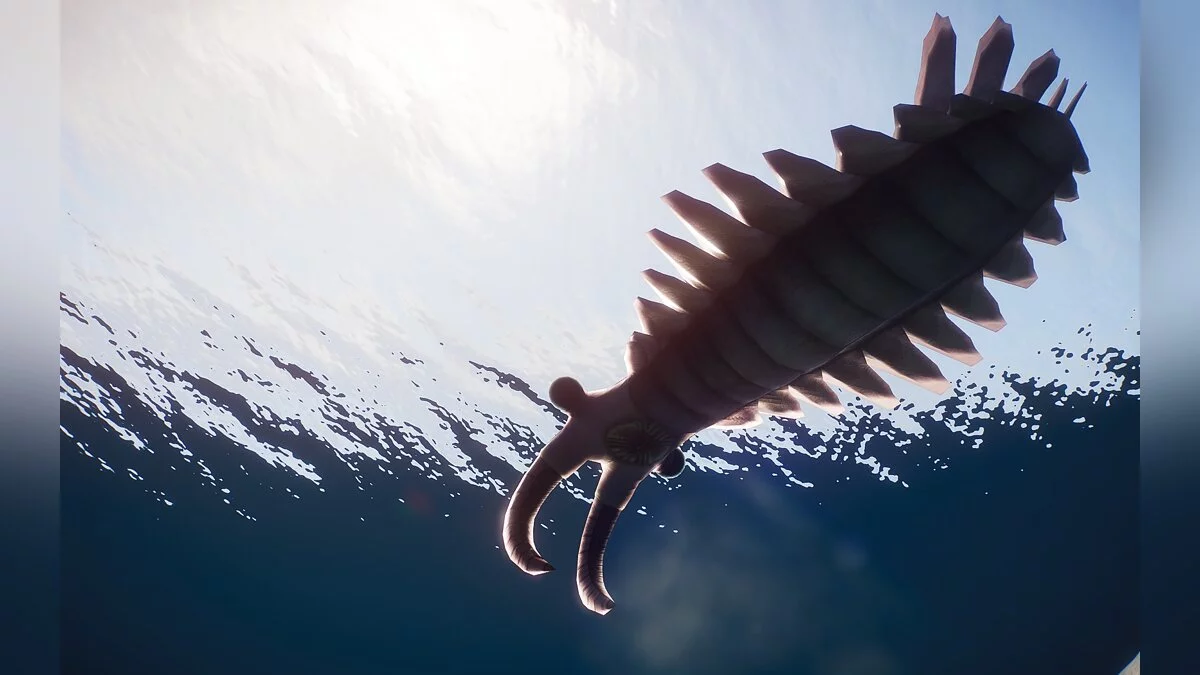 Planet Zoo — Anomalocaris