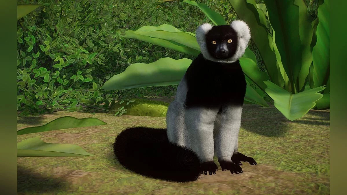 Planet Zoo — New species - mountain lemur