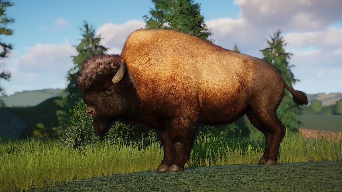 Planet Zoo — Wood bison - new species