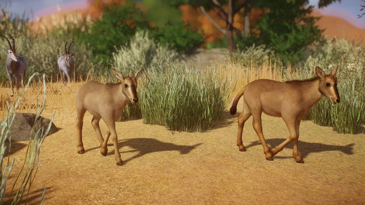 Planet Zoo — Blueback - nova vrsta