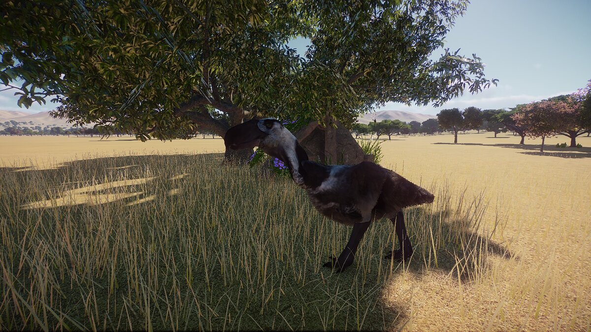 Planet Zoo — Terror Bird - New Species