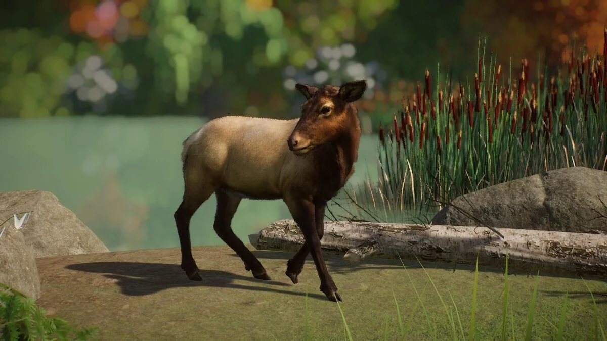 Planet Zoo — Лось Рузвельта - новые виды