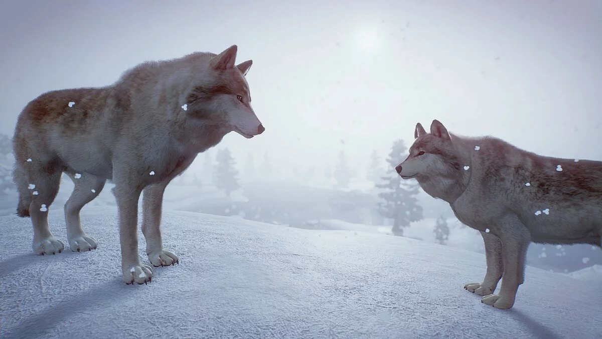 Planet Zoo — Тундровый волк - новые виды