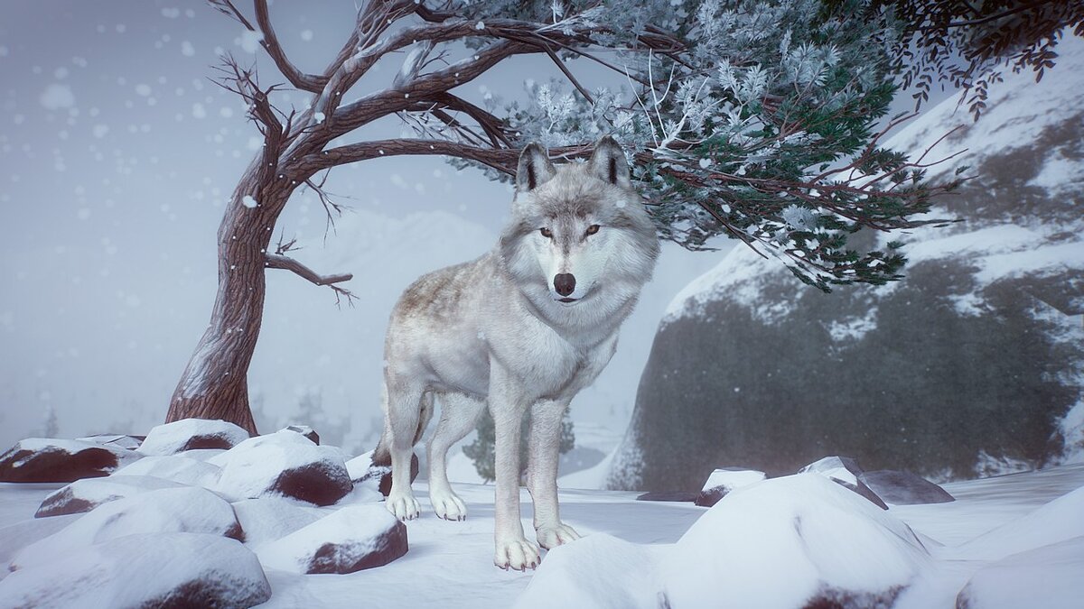 Planet Zoo — Tundra wolf - new species