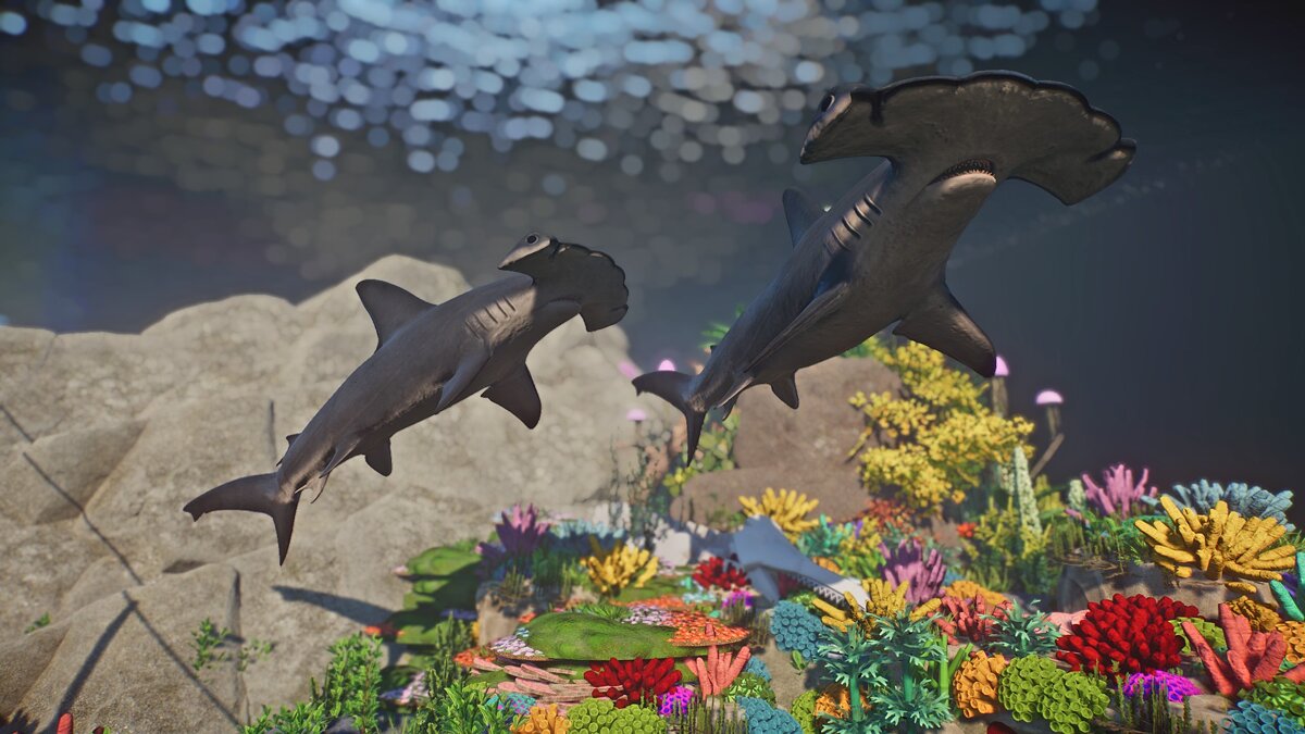 Planet Zoo — Hammerhead shark - new species