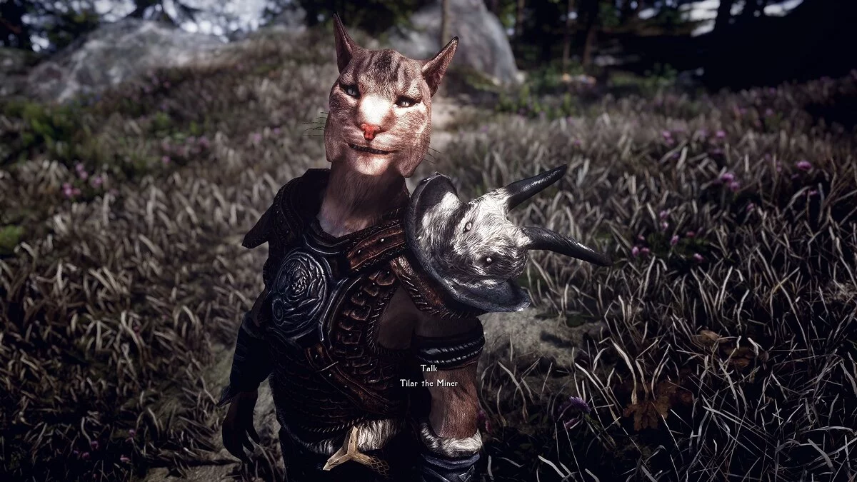 Elder Scrolls 5: Skyrim Special Edition — NPC mejorados del mod Moonpath a Elsweyr