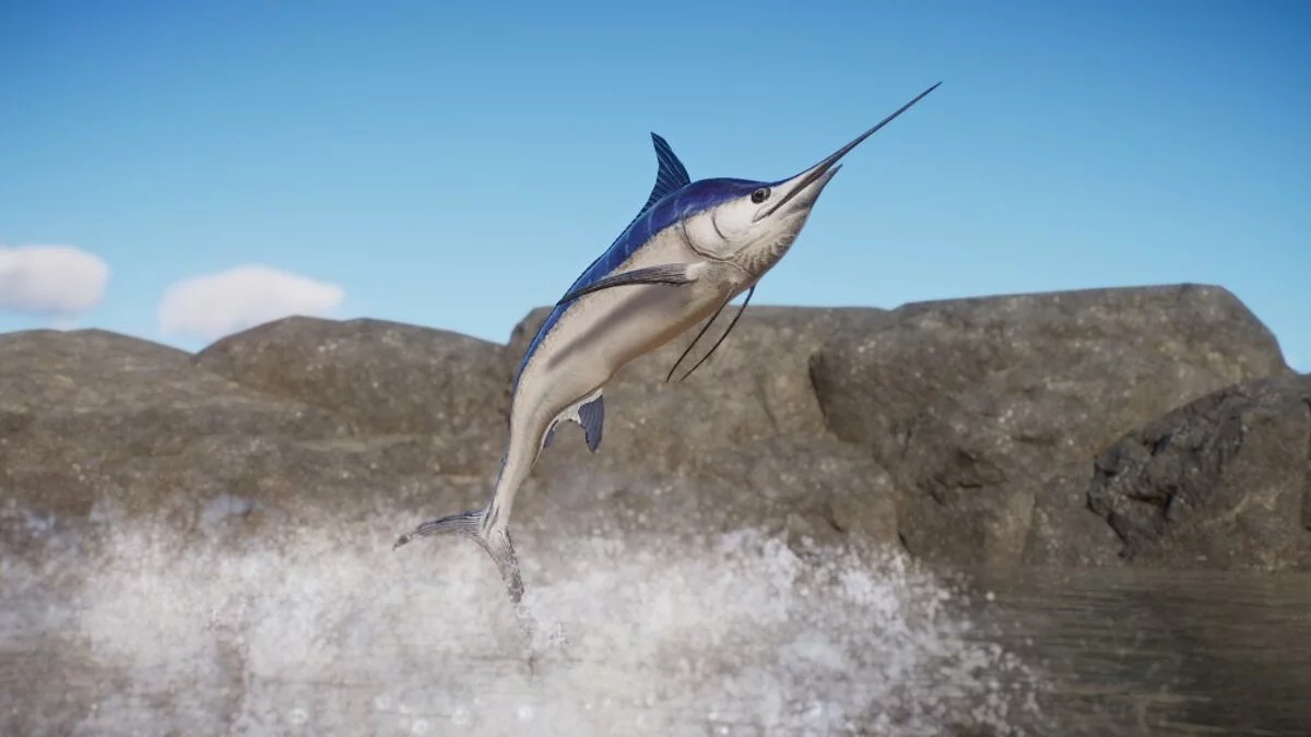 Planet Zoo — New species - Atlantic blue marlin