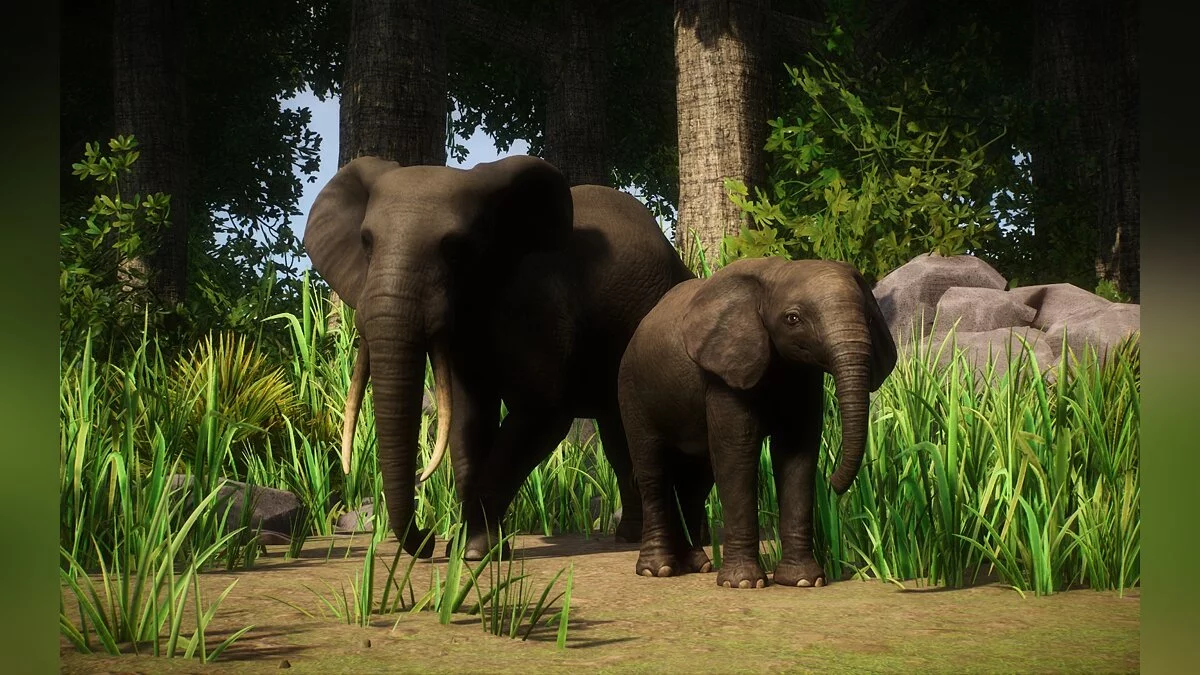 Planet Zoo — Nueva especie: elefante africano del bosque