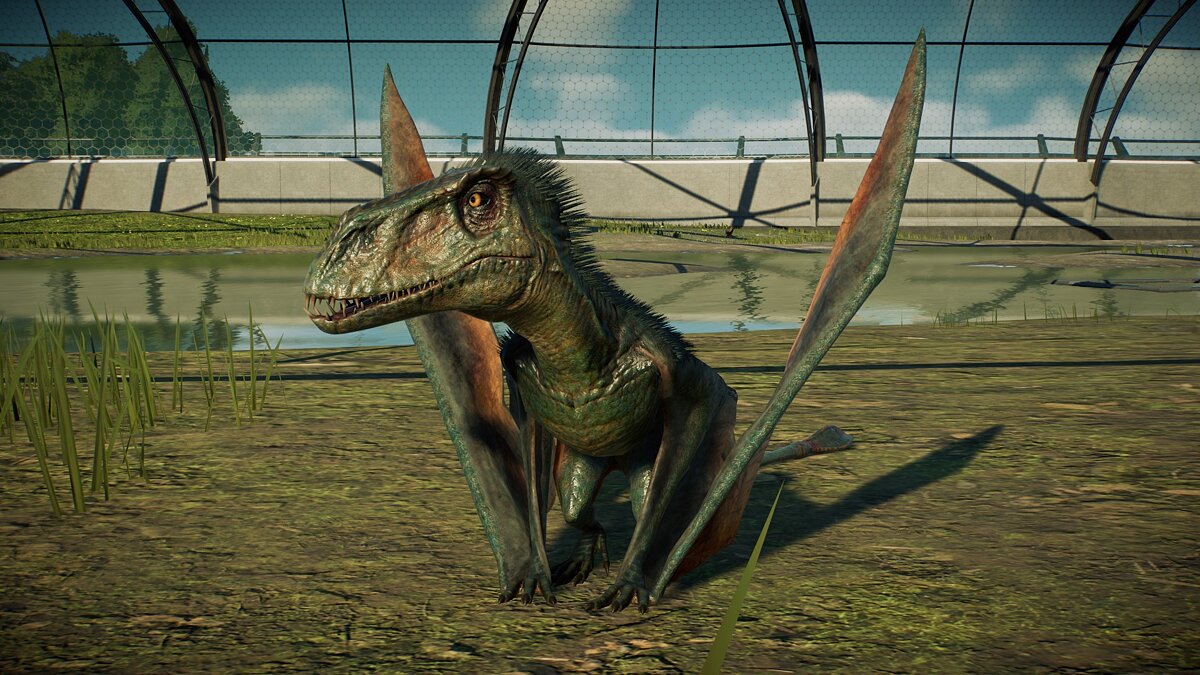 Jurassic World Evolution 2 — Furry Dimorphodon