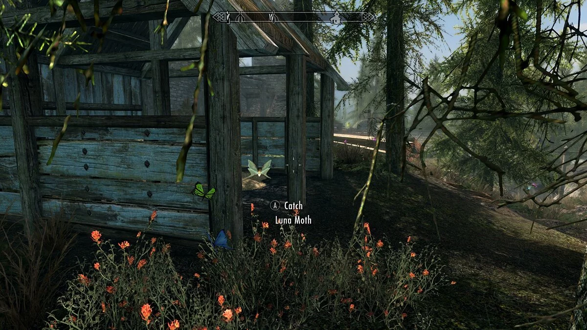 Elder Scrolls 5: Skyrim Special Edition — Инкубаторий бабочек - поместье Лейквью