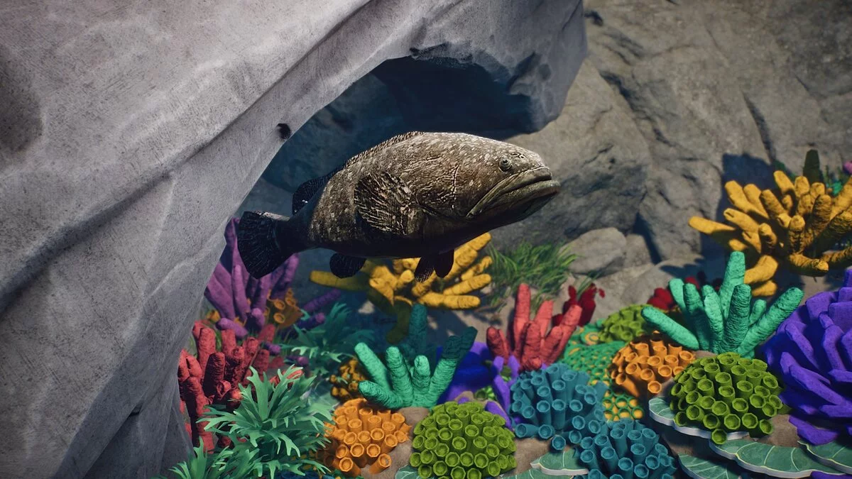 Planet Zoo — Giant sea bass - new species