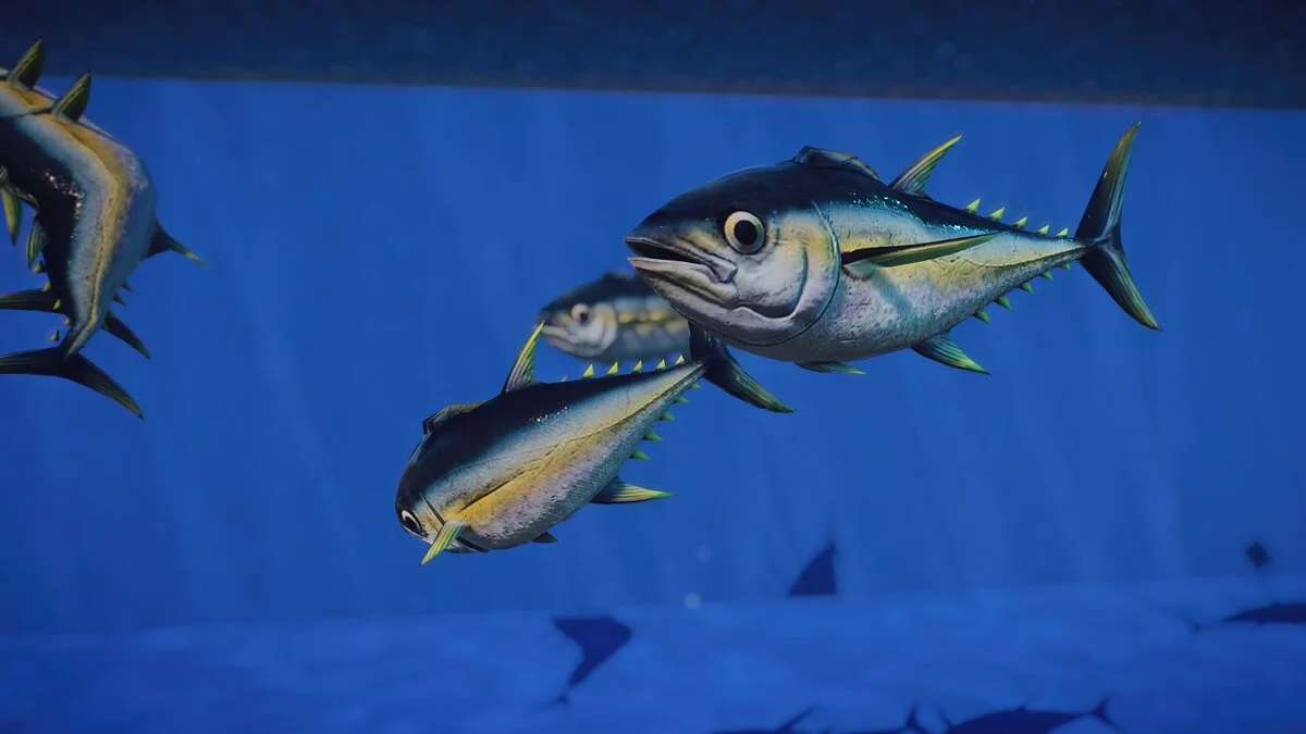 Planet Zoo — Атлантический голубой тунец - новые виды