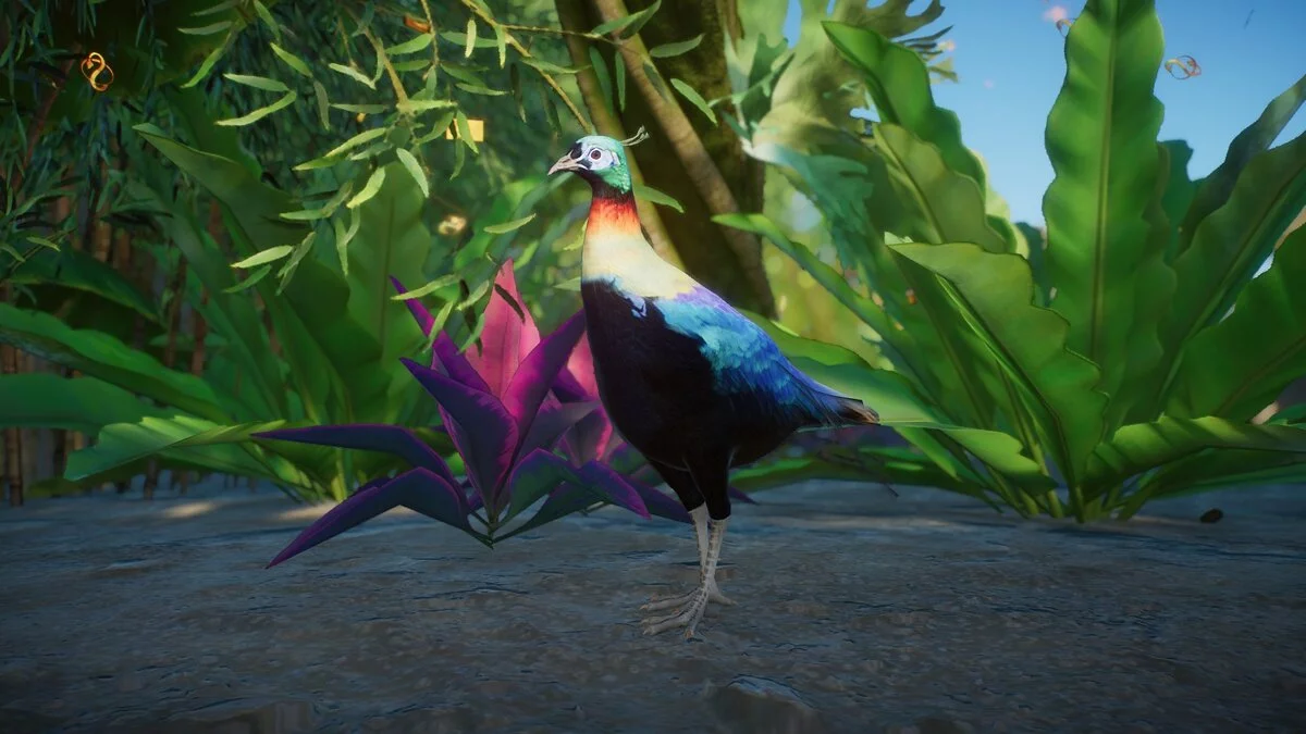 Planet Zoo — Himalayan monal - new species