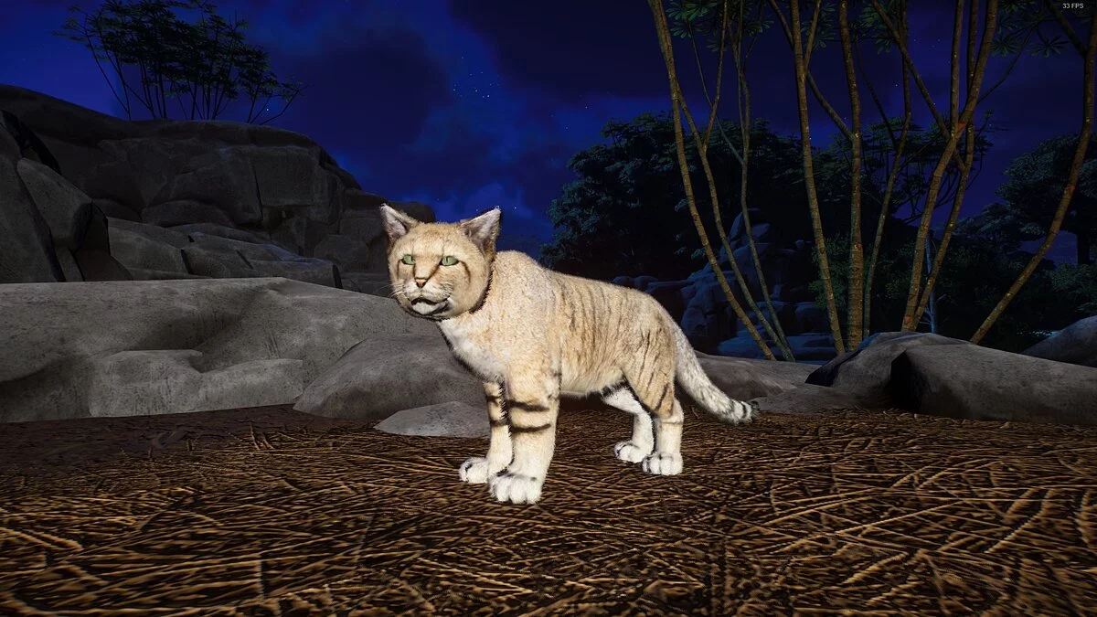 Planet Zoo — Sand cat - new species