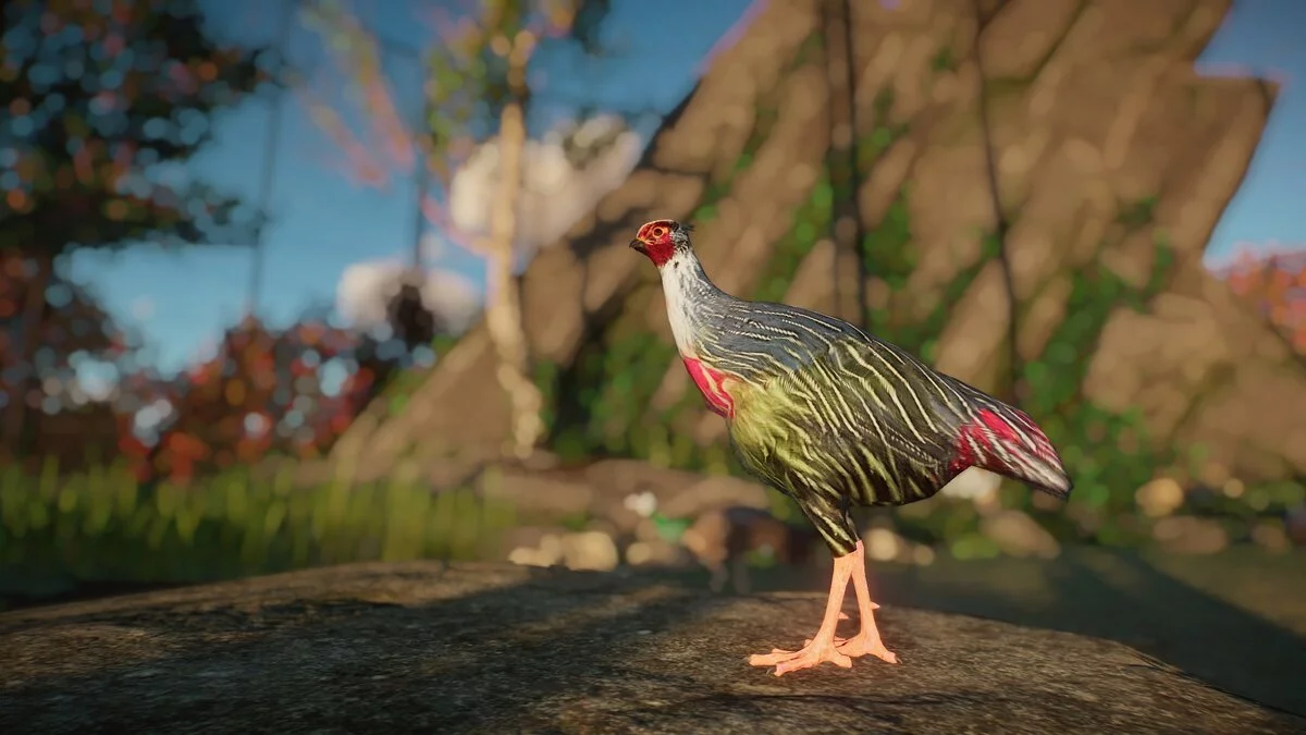 Planet Zoo — Faisán de sangre - nueva especie