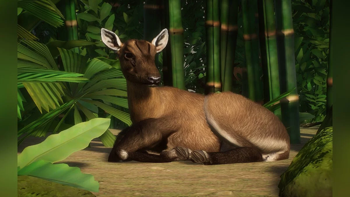 Planet Zoo — Новий вид - гігантський мунтжак