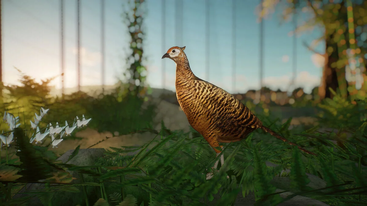 Planet Zoo — Фазан леди Амхерст - новый вид