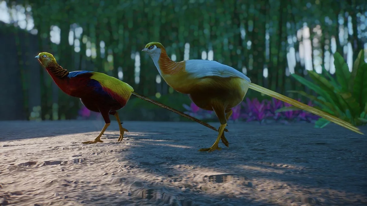 Planet Zoo — Golden pheasant - new species