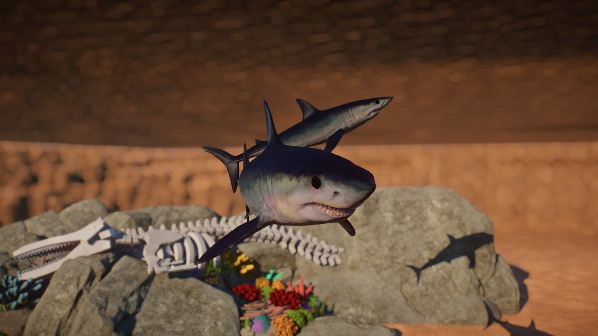 Planet Zoo — Shortfin mako - new species