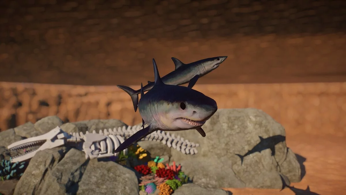 Planet Zoo — Shortfin mako - new species