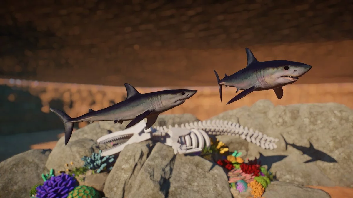 Planet Zoo — Короткопёрый мако - новые виды