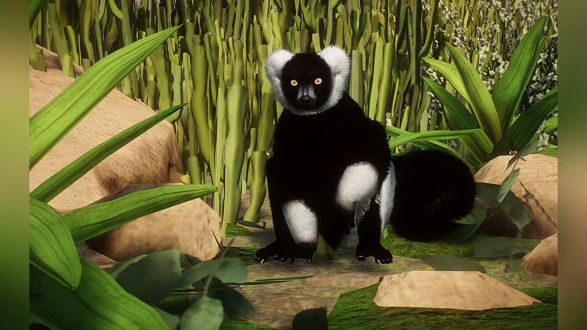 Planet Zoo — New Species - White-rumped Black-and-White Ruffled Lemur