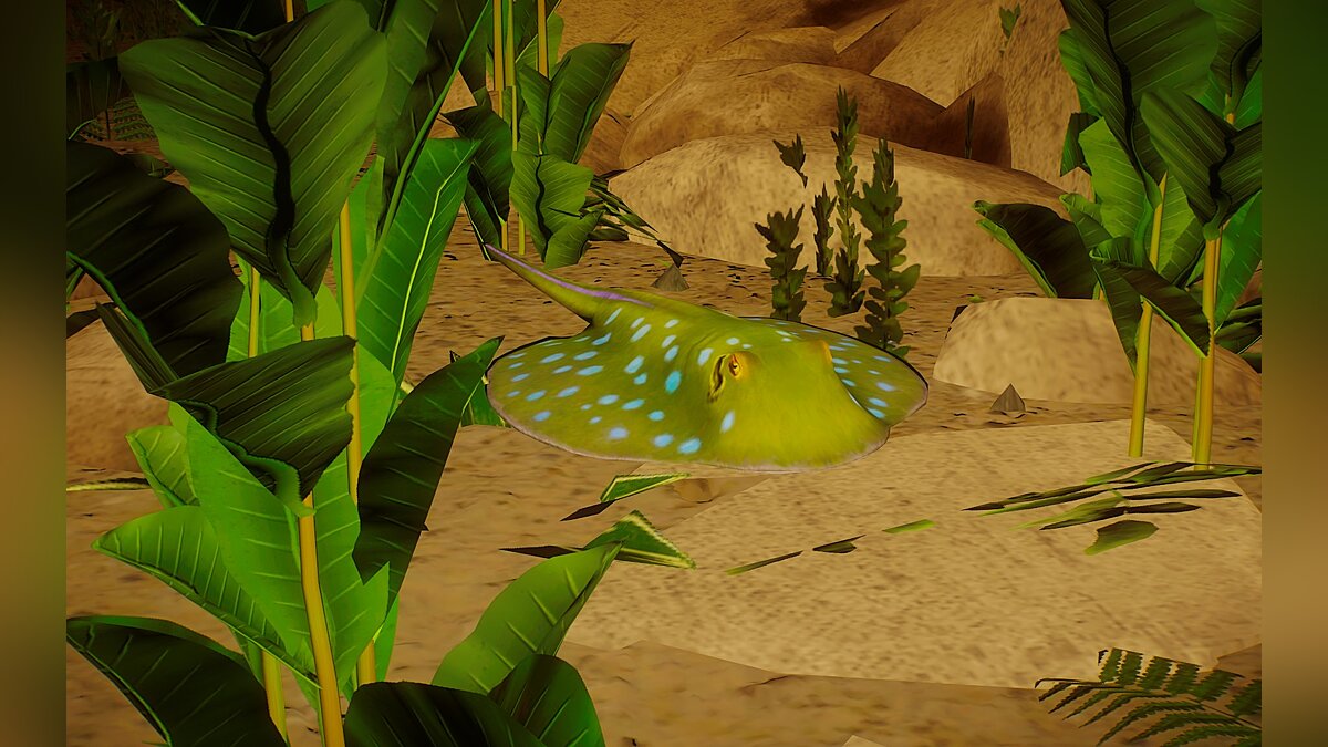 Planet Zoo — New species - Blue spotted rib-tail ray