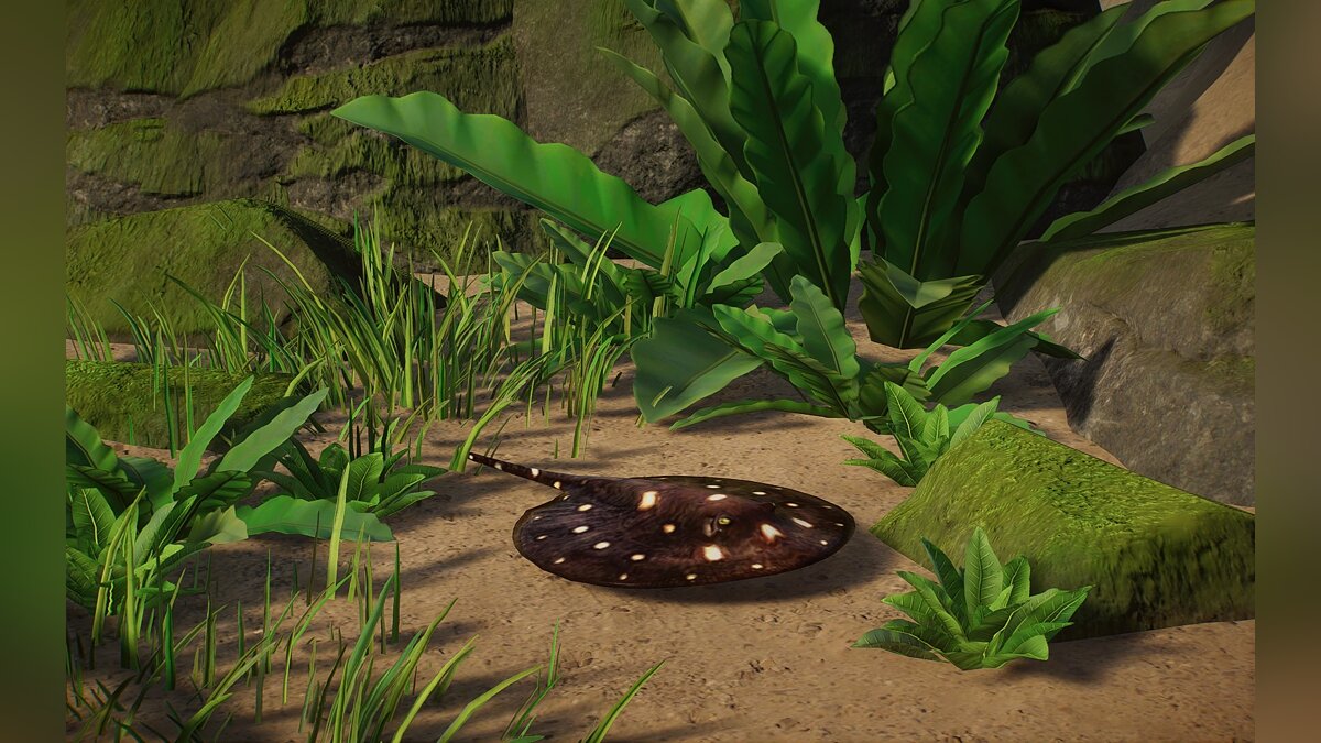 Planet Zoo — New species - river stingray with white spots