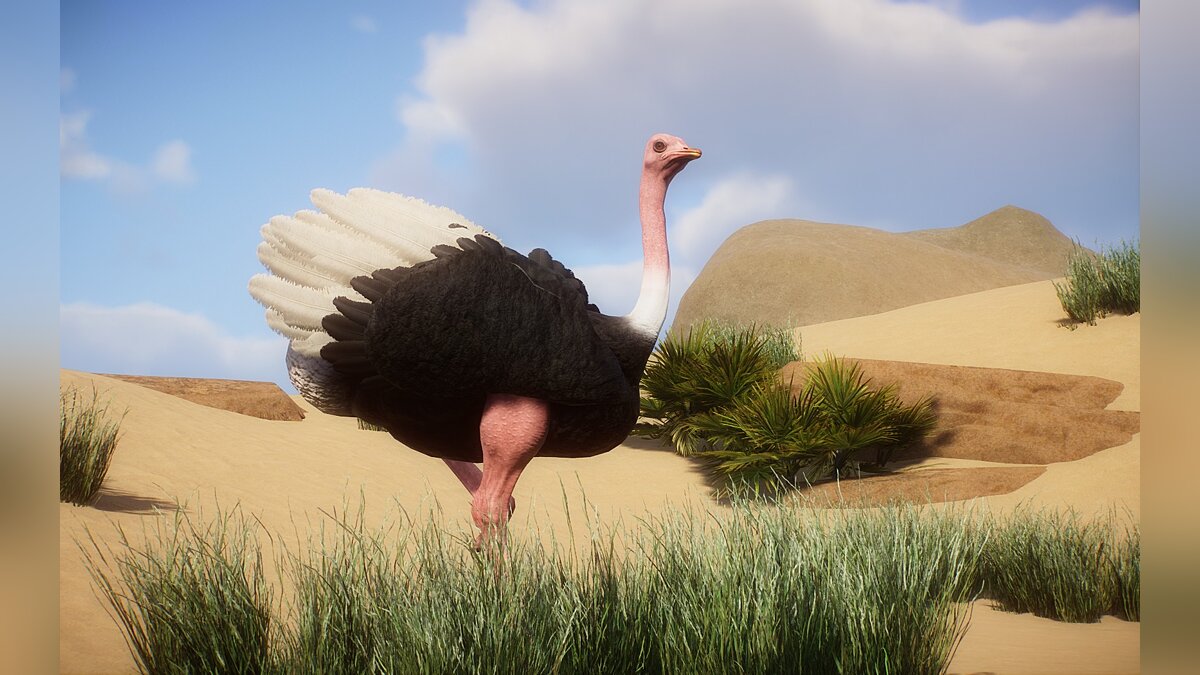 Planet Zoo — New species - North African ostrich