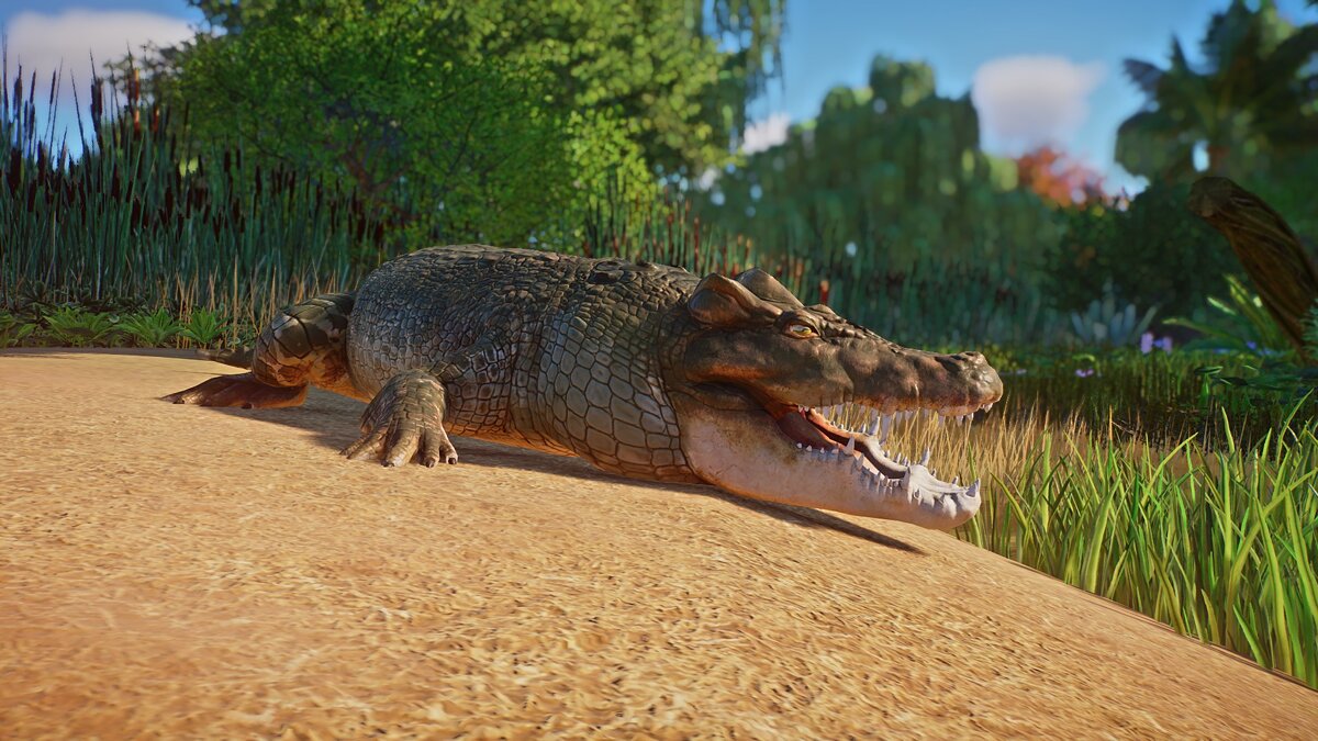 Planet Zoo — Malagasy horned crocodile - new species