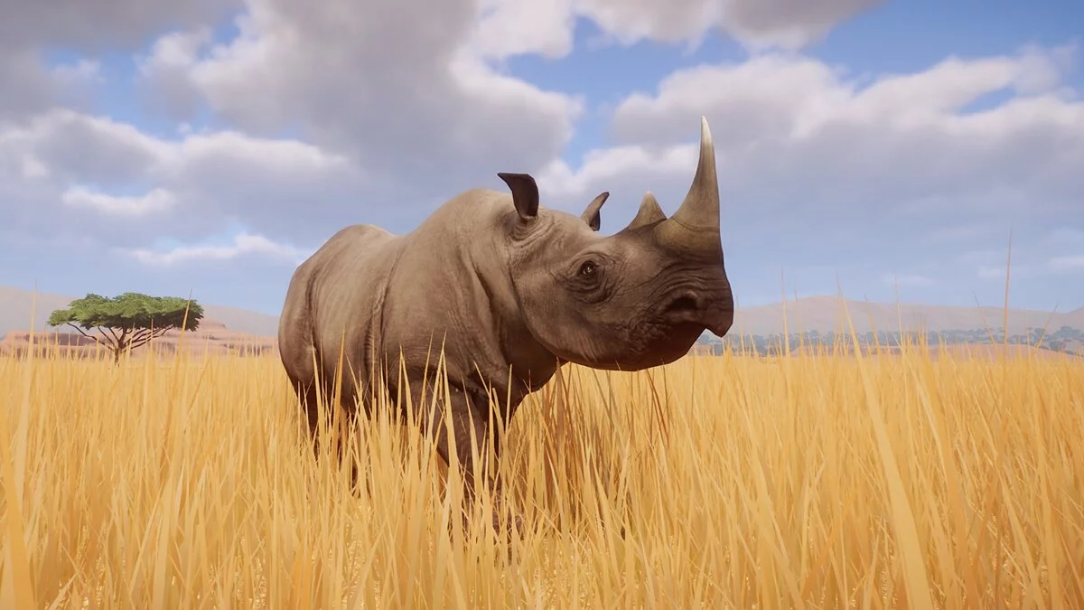 Planet Zoo — New species - Eastern black rhinoceros