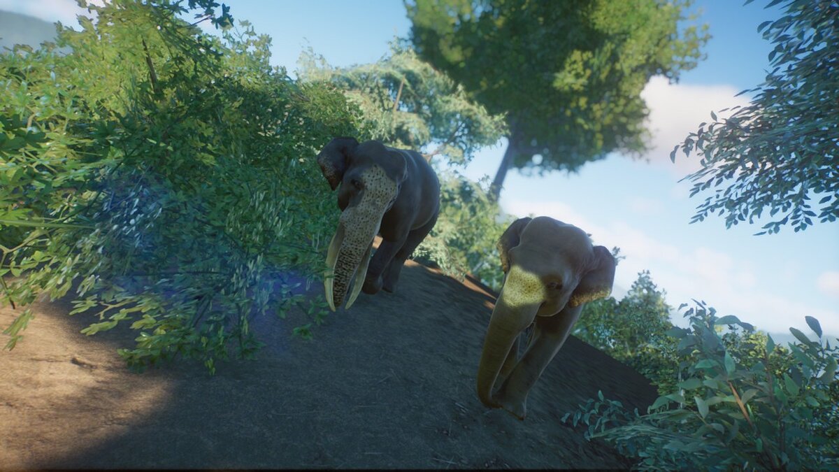 Planet Zoo — Sri Lankan elephant (new species)