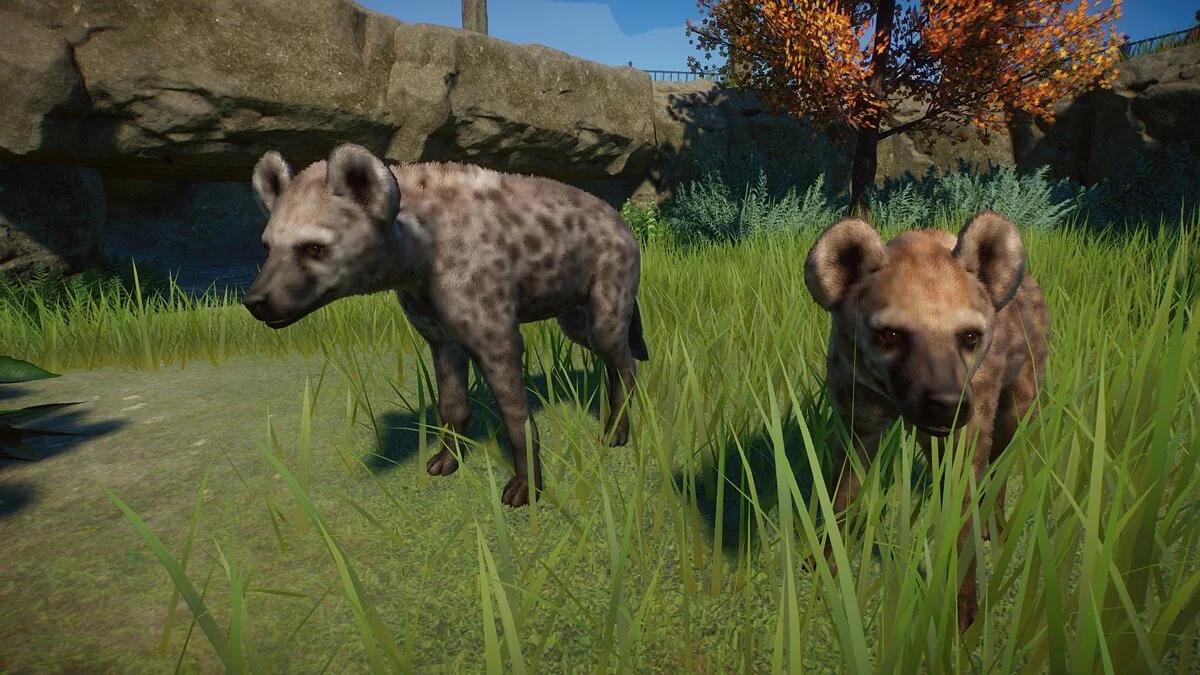 Planet Zoo — Cave Hyena (replacement)