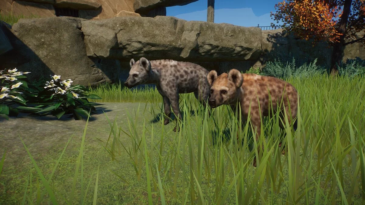 Planet Zoo — Печерна гієна (заміна)