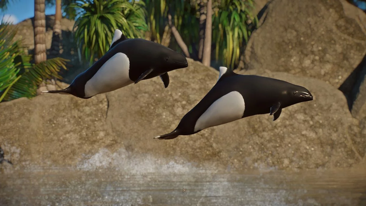 Planet Zoo — Морская свинья Далла - новые виды