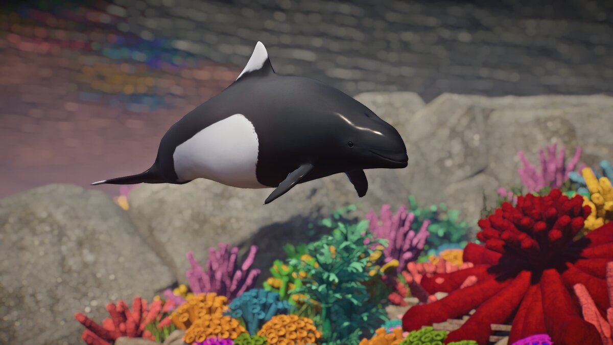 Planet Zoo — Dall's porpoise - new species