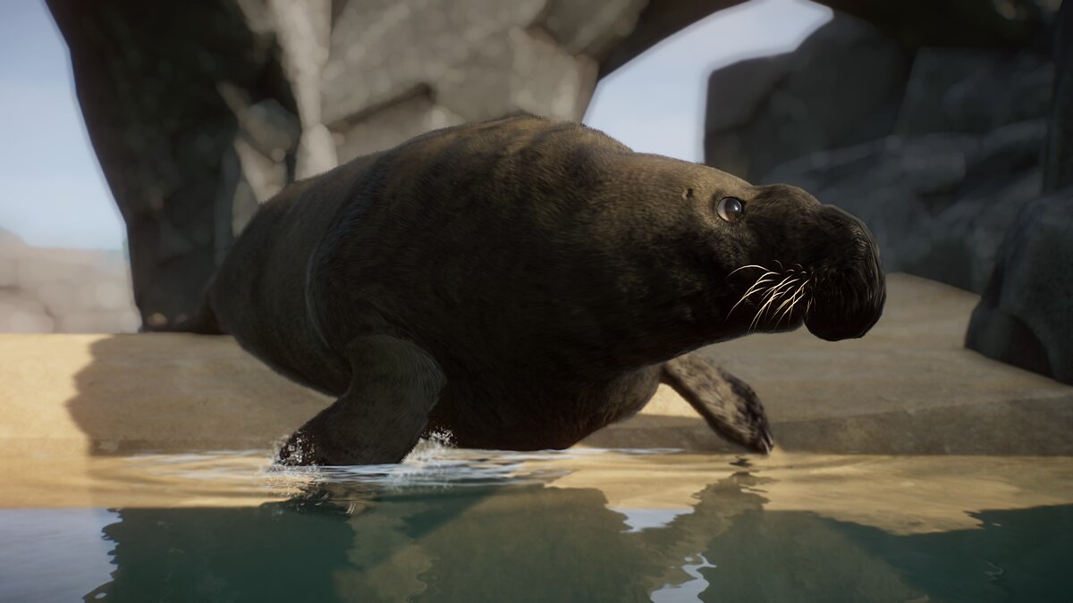 Planet Zoo — Southern elephant seal new species