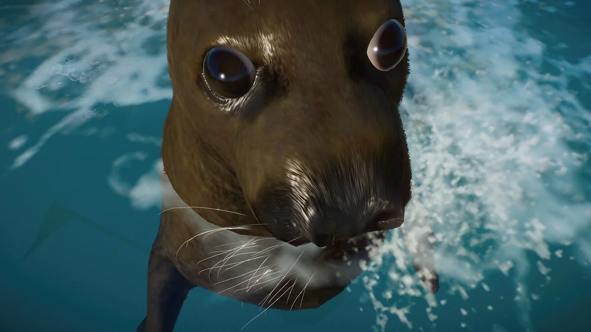 Planet Zoo — Южный морской слон новый вид