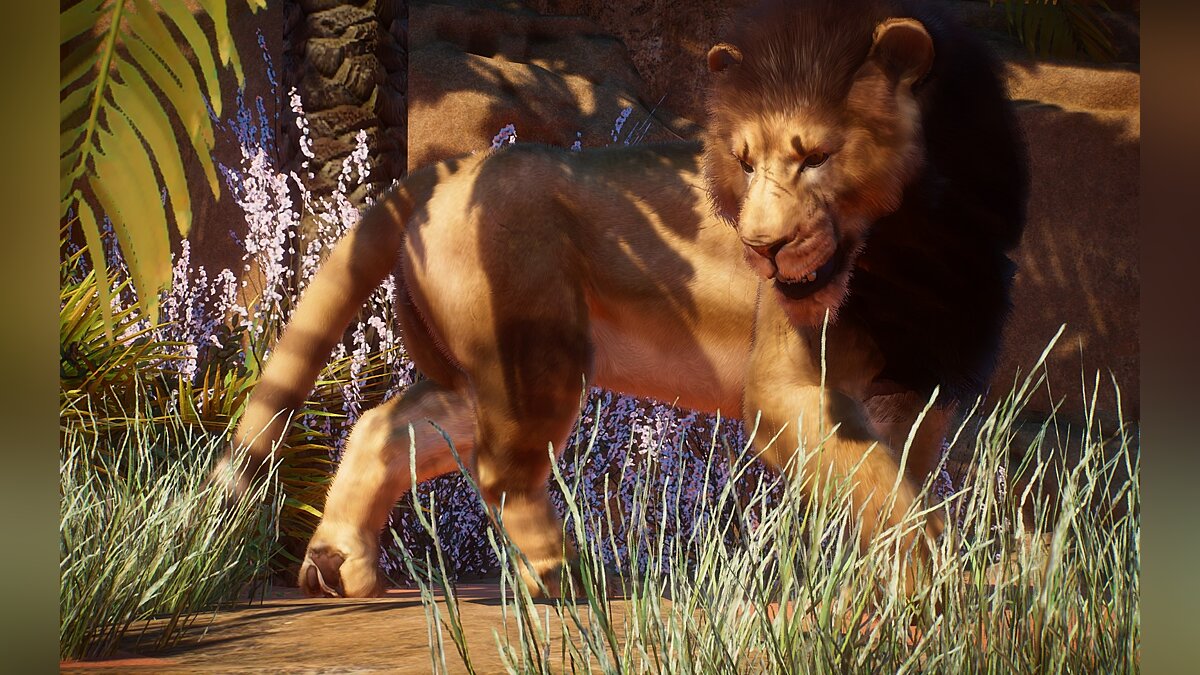 Planet Zoo — New species - Eurasian cave lion