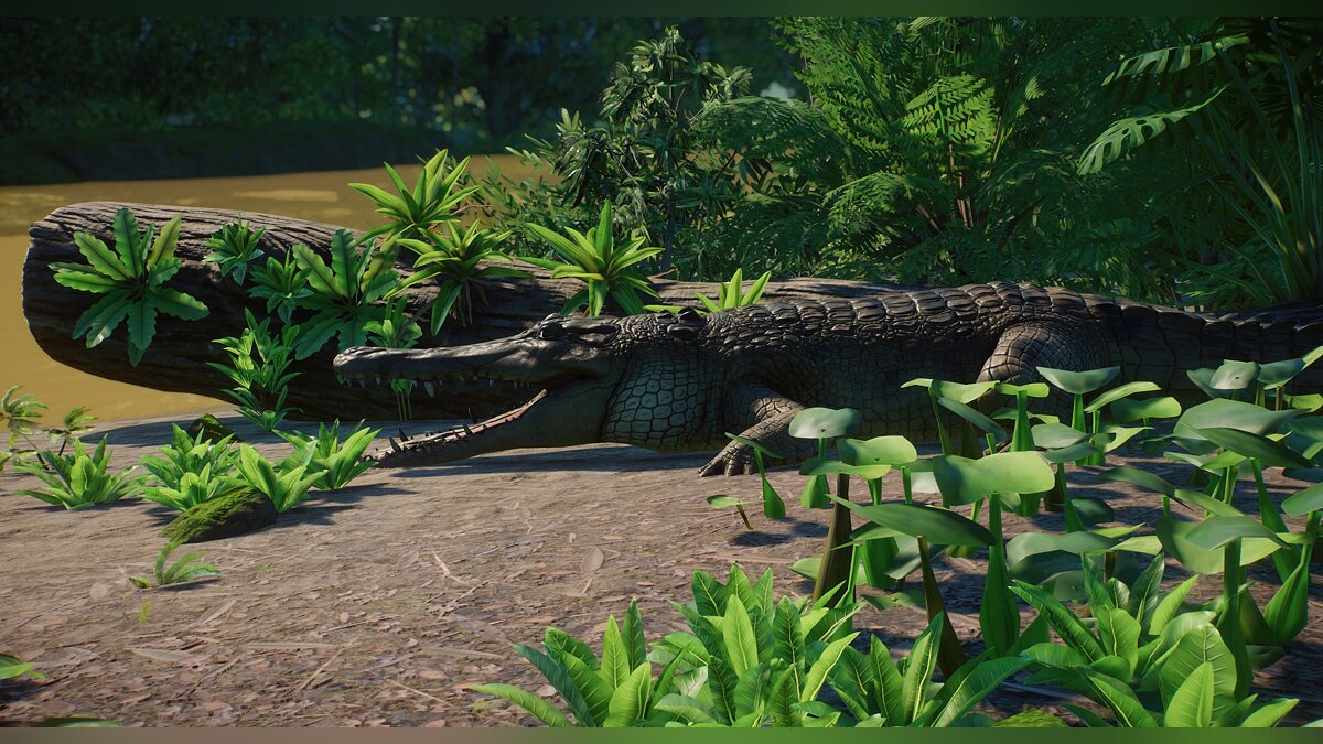 Planet Zoo — New species - Central African slender-footed crocodile