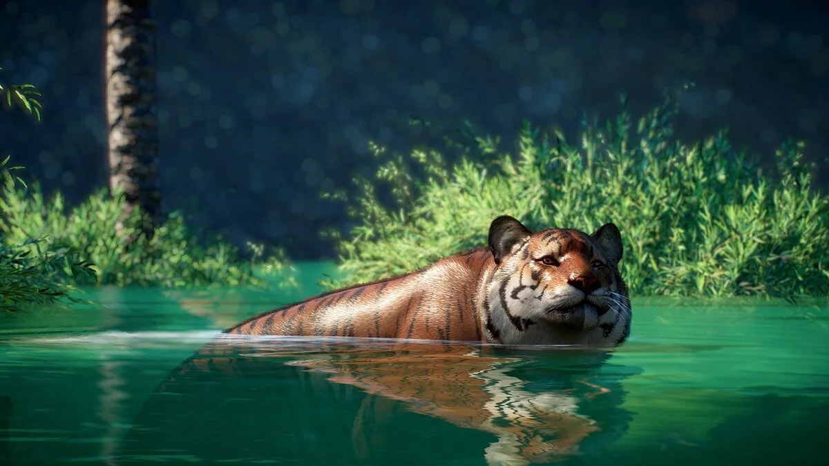 Planet Zoo — Nova vrsta malajskega tigra
