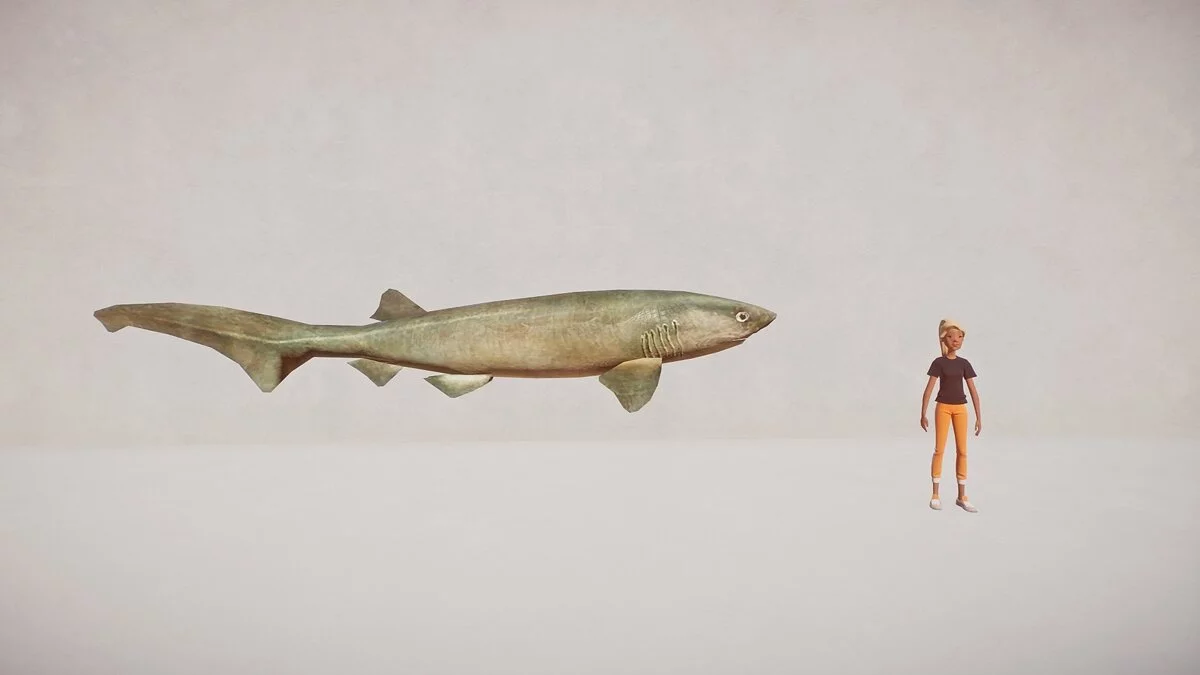 Planet Zoo — Тупоноса шестижаберна акула