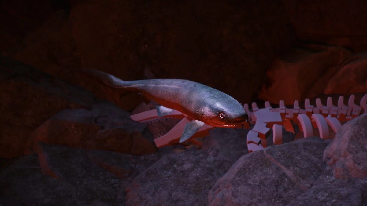 Planet Zoo — Bluntnose sixgill shark