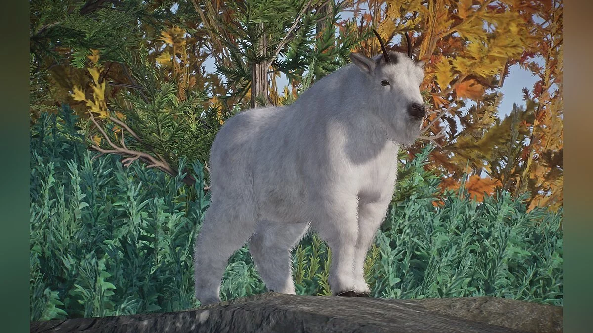 Planet Zoo — New species - mountain goat