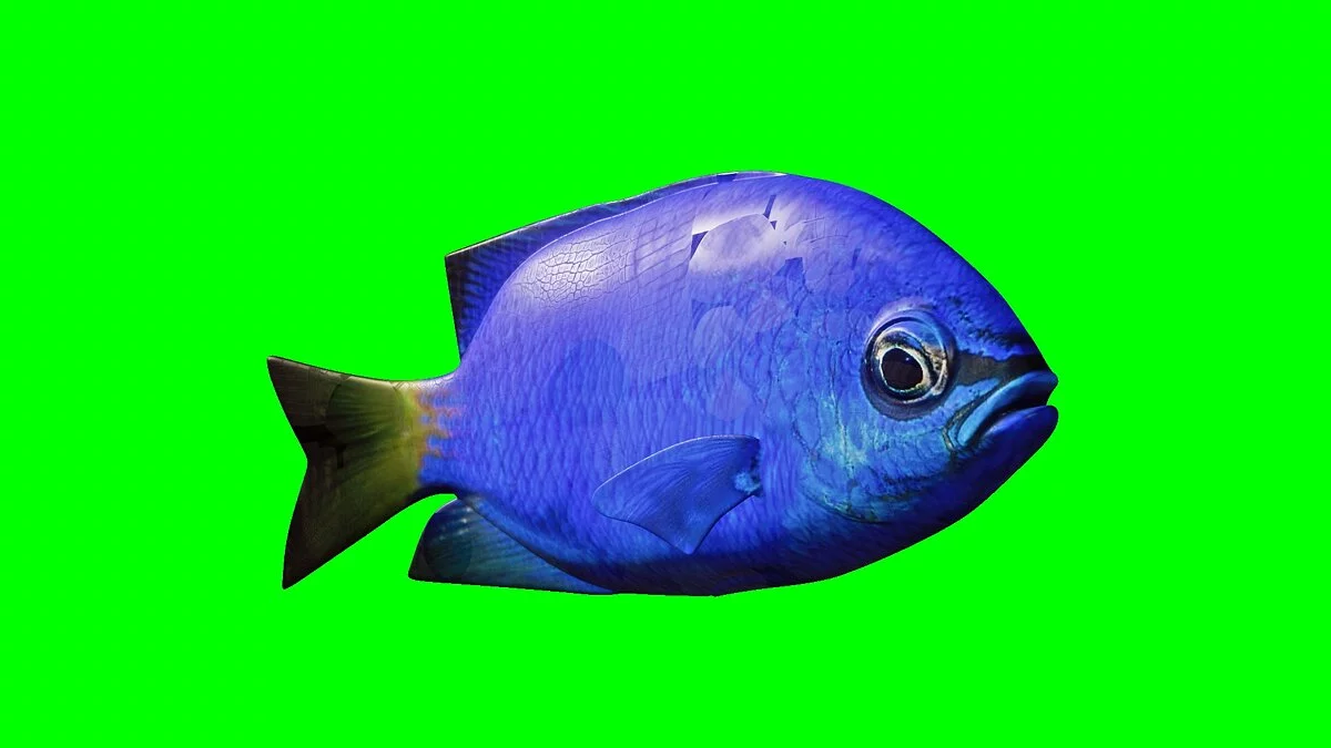 Planet Zoo — Рыба-девица — новые виды